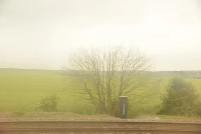 DSC_2524 (Large).JPG